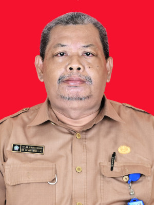 I Putu Gede Wirama Semadi