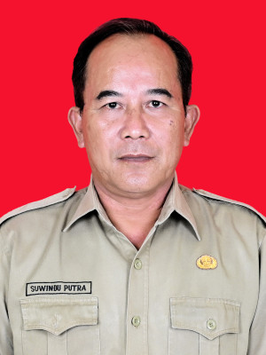Ida Bagus Km. Suwindu Putra, S.Pd